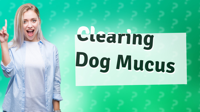 Clearing Dog Mucus
