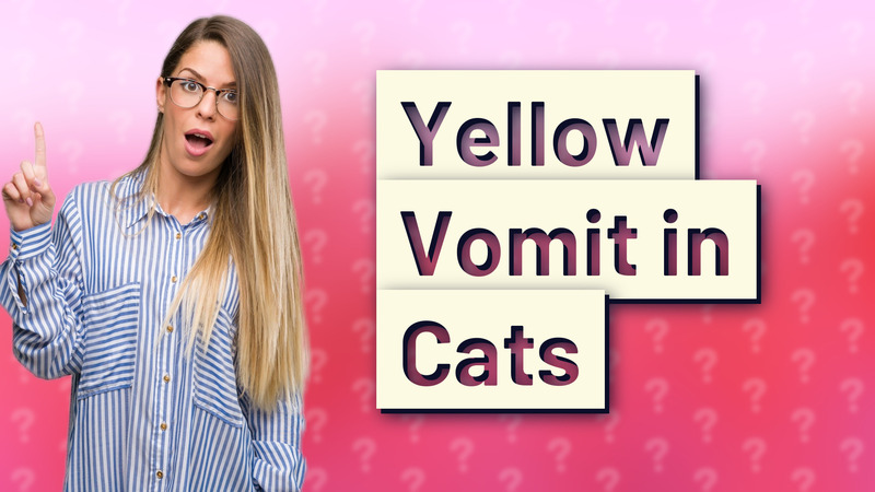 Yellow Vomit in Cats