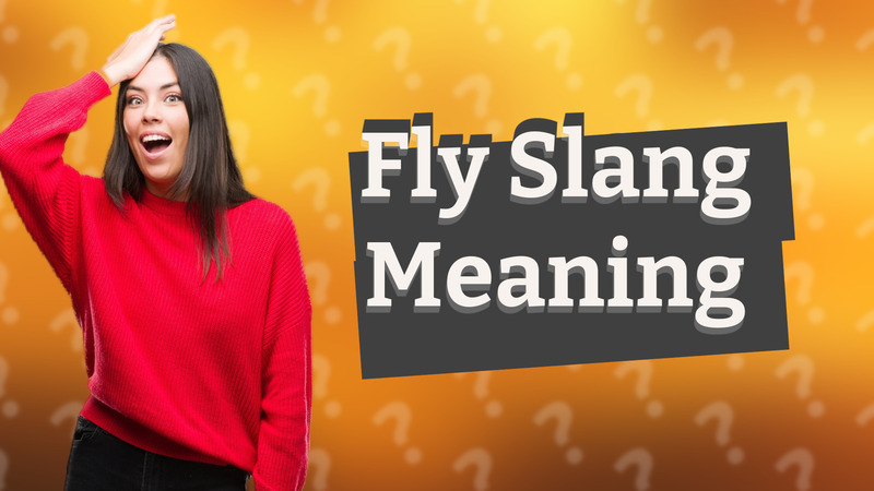 Fly Slang Meaning