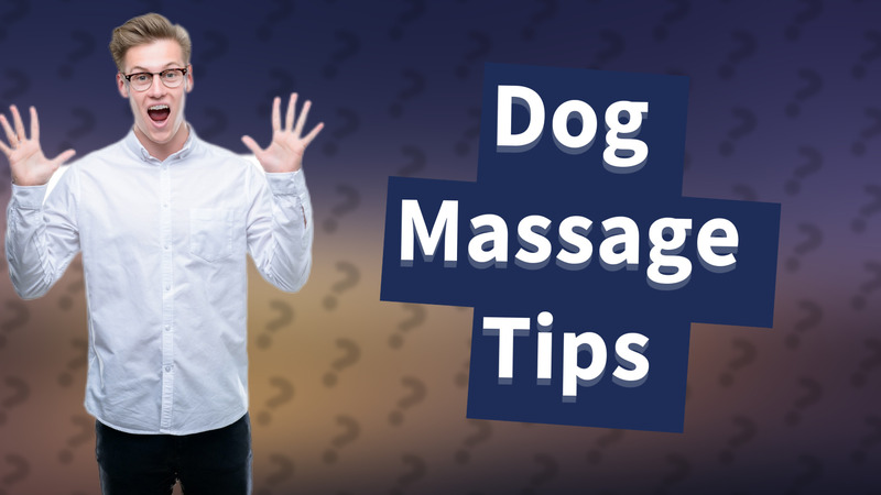 Dog Massage Tips