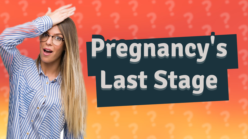 Pregnancy's Last Stage