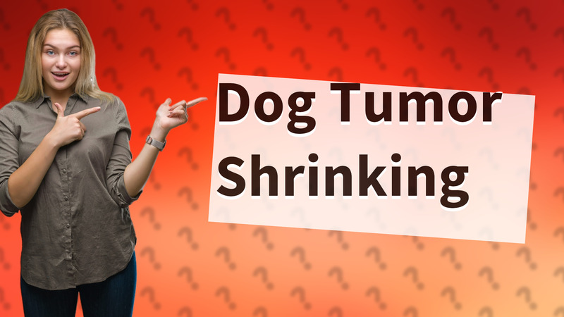 Dog Tumor Shrinking