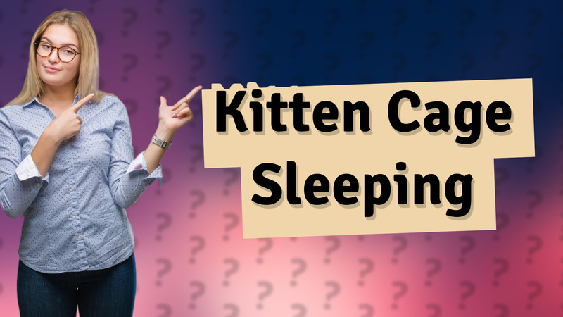 Kitten Cage Sleeping