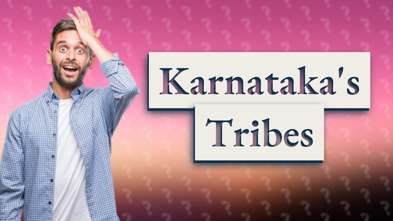 Karnataka's Tribes