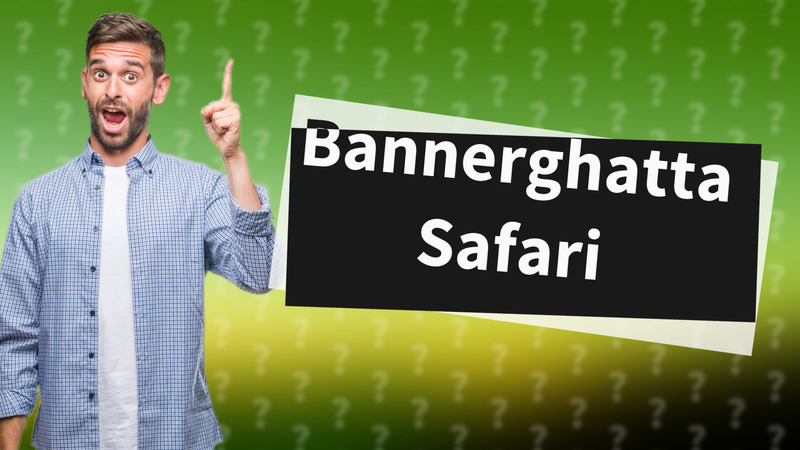Bannerghatta Safari