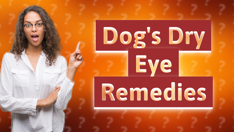 Dog's Dry Eye Remedies