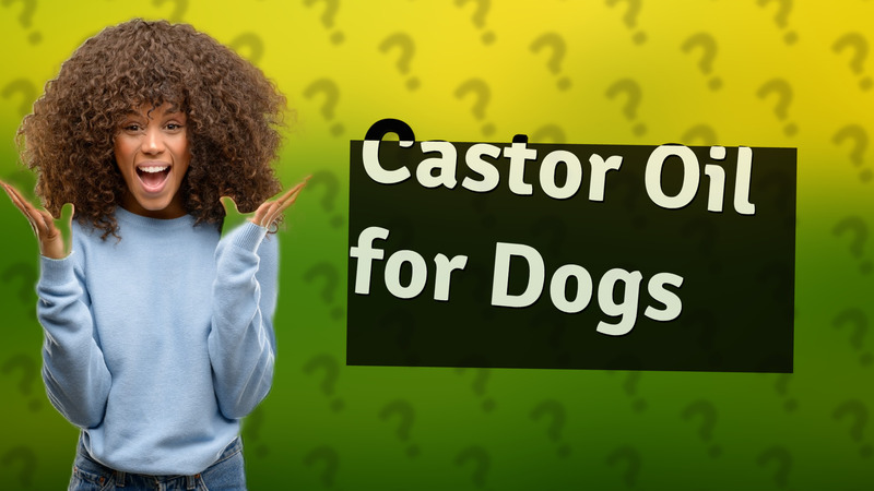 Castor Oil for Dogs