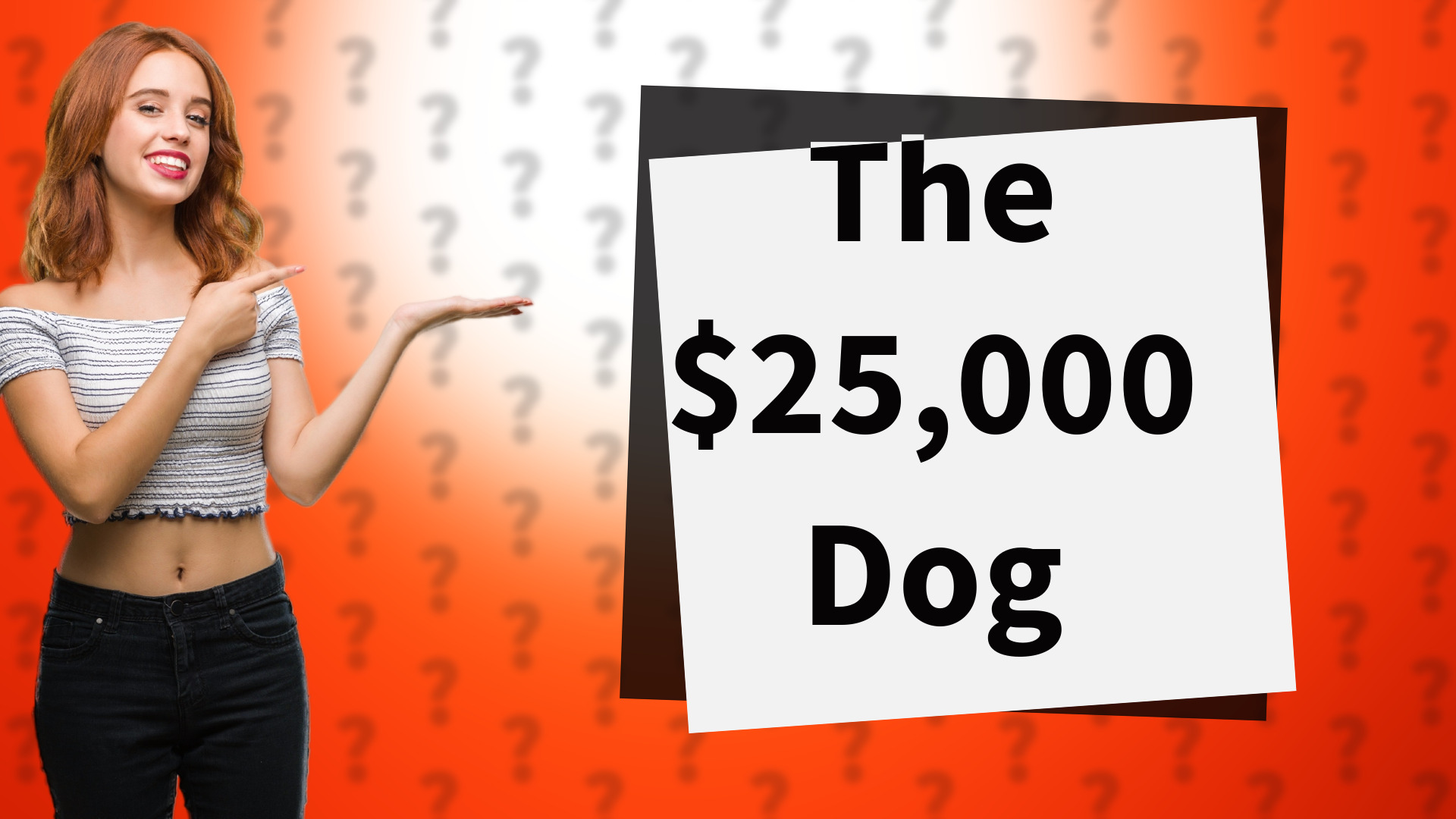 The $25,000 Dog