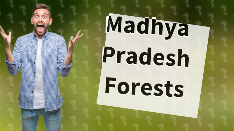 Madhya Pradesh Forests