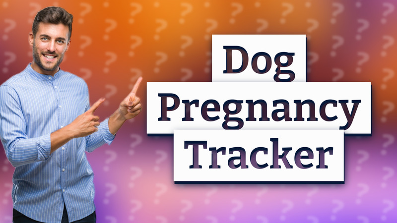 Dog Pregnancy Tracker
