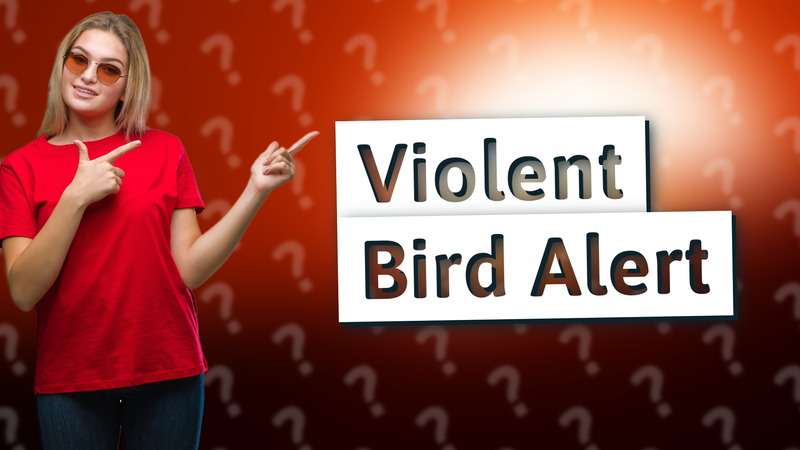 Violent Bird Alert