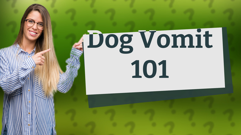 Dog Vomit 101