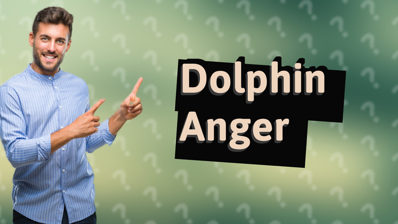 Dolphin Anger
