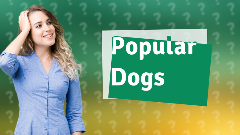 Popular Dogs