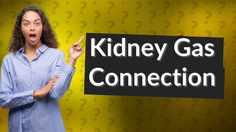 Kidney Gas Connection