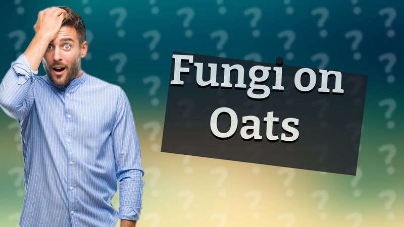 Fungi on Oats