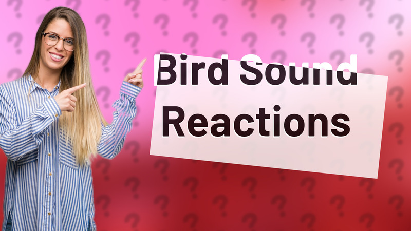 Bird Sound Reactions