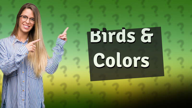 Birds & Colors