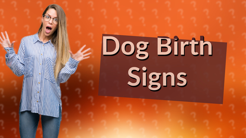 Dog Birth Signs