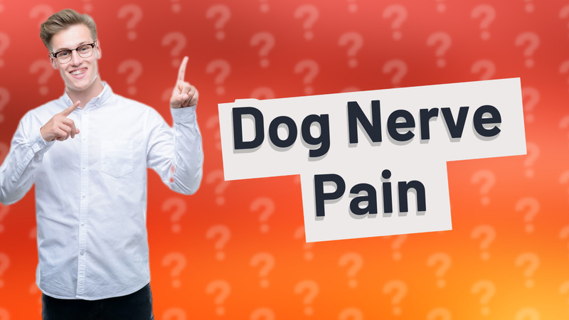 Dog Nerve Pain
