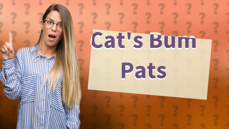 Cat's Bum Pats