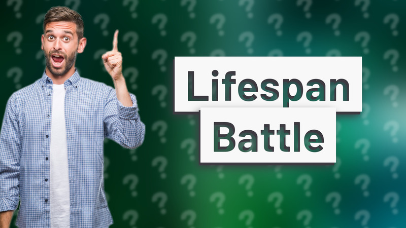 Lifespan Battle