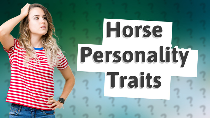 Horse Personality Traits