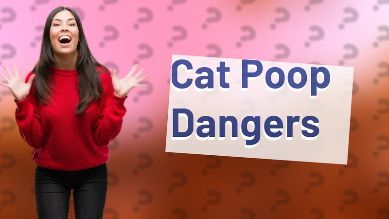 Cat Poop Dangers