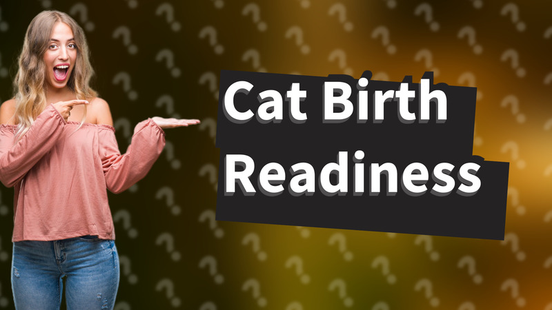 Cat Birth Readiness