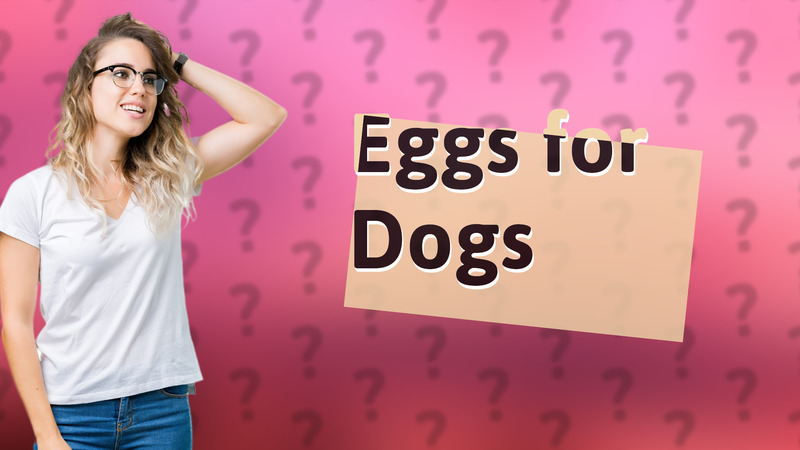 Eggs for Dogs