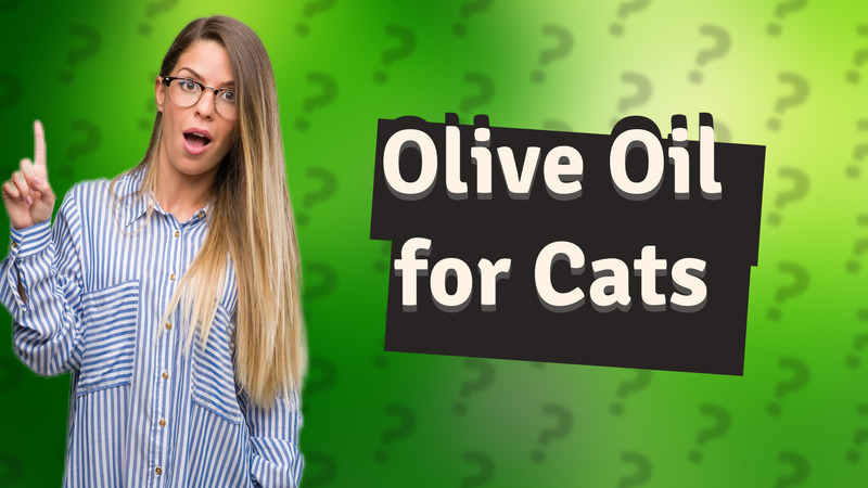Olive Oil for Cats