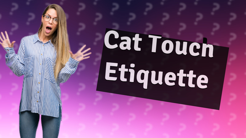Cat Touch Etiquette
