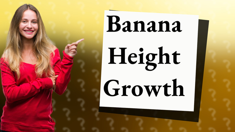 Banana Height Growth