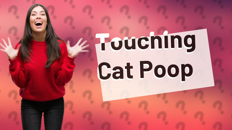 Touching Cat Poop