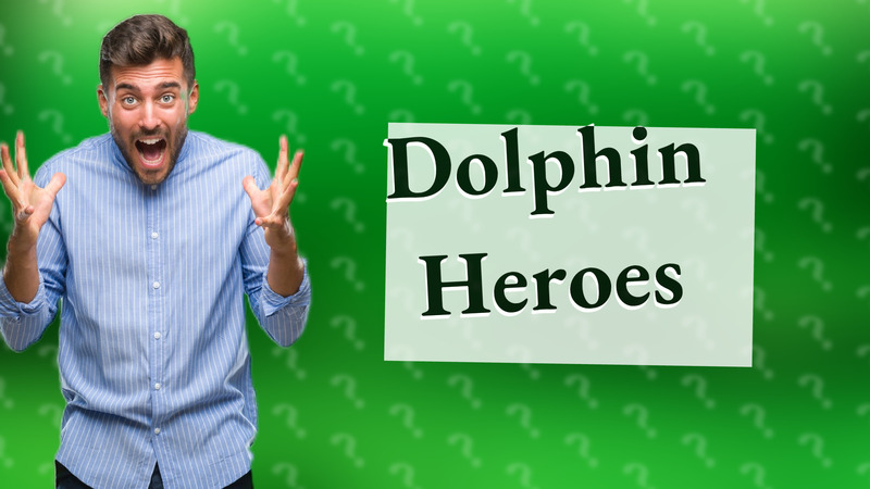 Dolphin Heroes