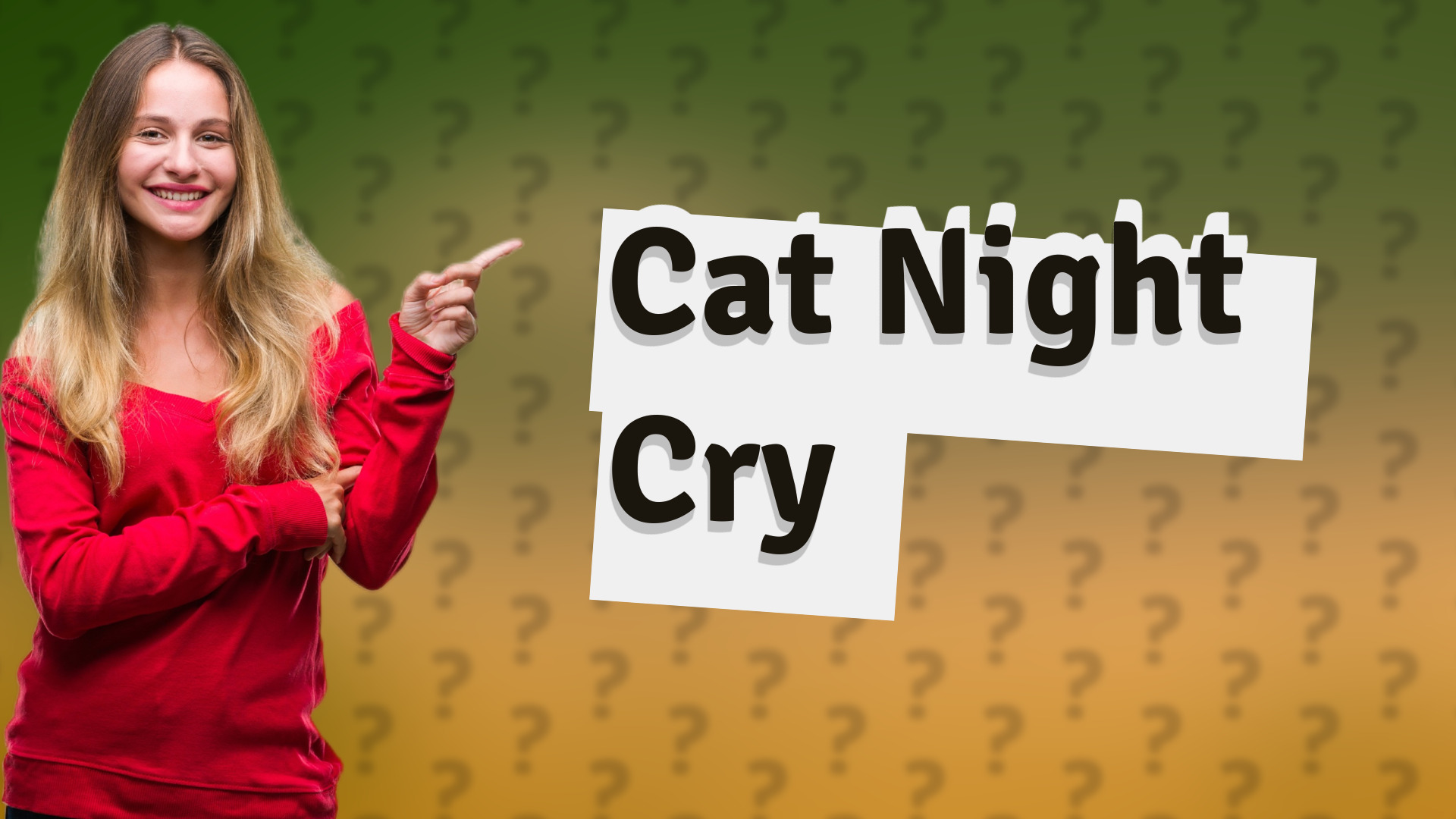 Cat Night Cry