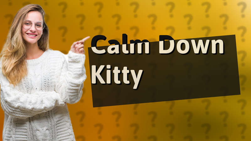 Calm Down Kitty
