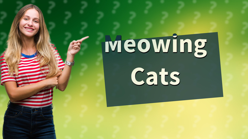 Meowing Cats