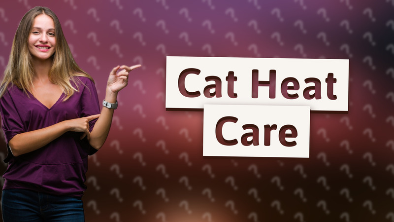 Cat Heat Care