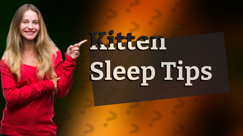 Kitten Sleep Tips