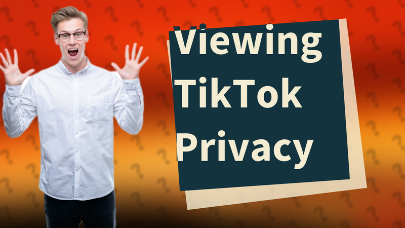 Viewing TikTok Privacy