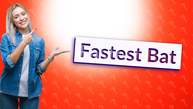 Fastest Bat