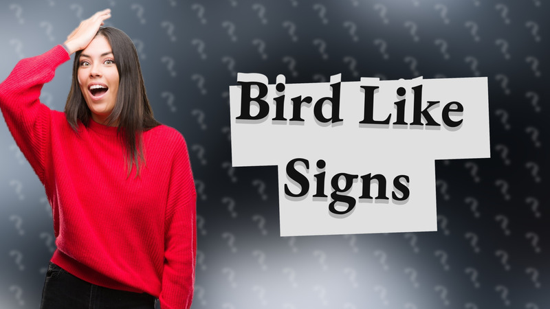 Bird Like Signs