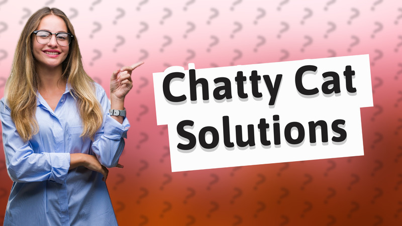 Chatty Cat Solutions