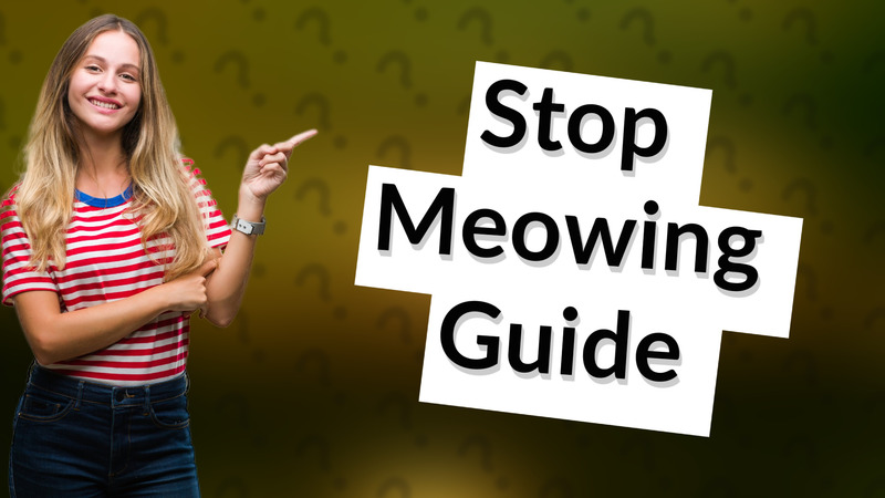 Stop Meowing Guide