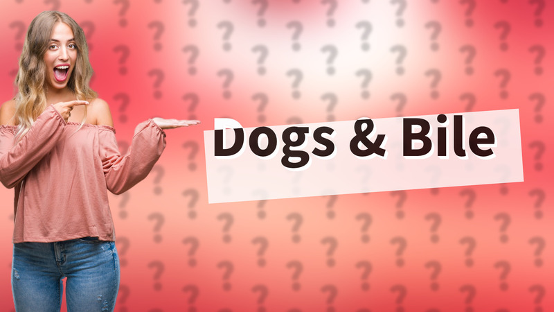 Dogs & Bile