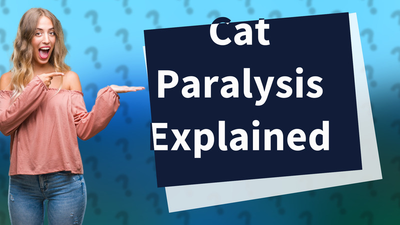 Cat Paralysis Explained