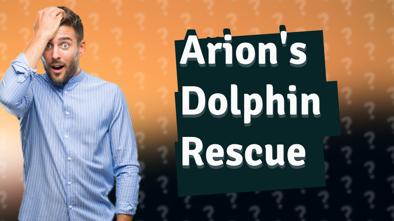 Arion's Dolphin Rescue