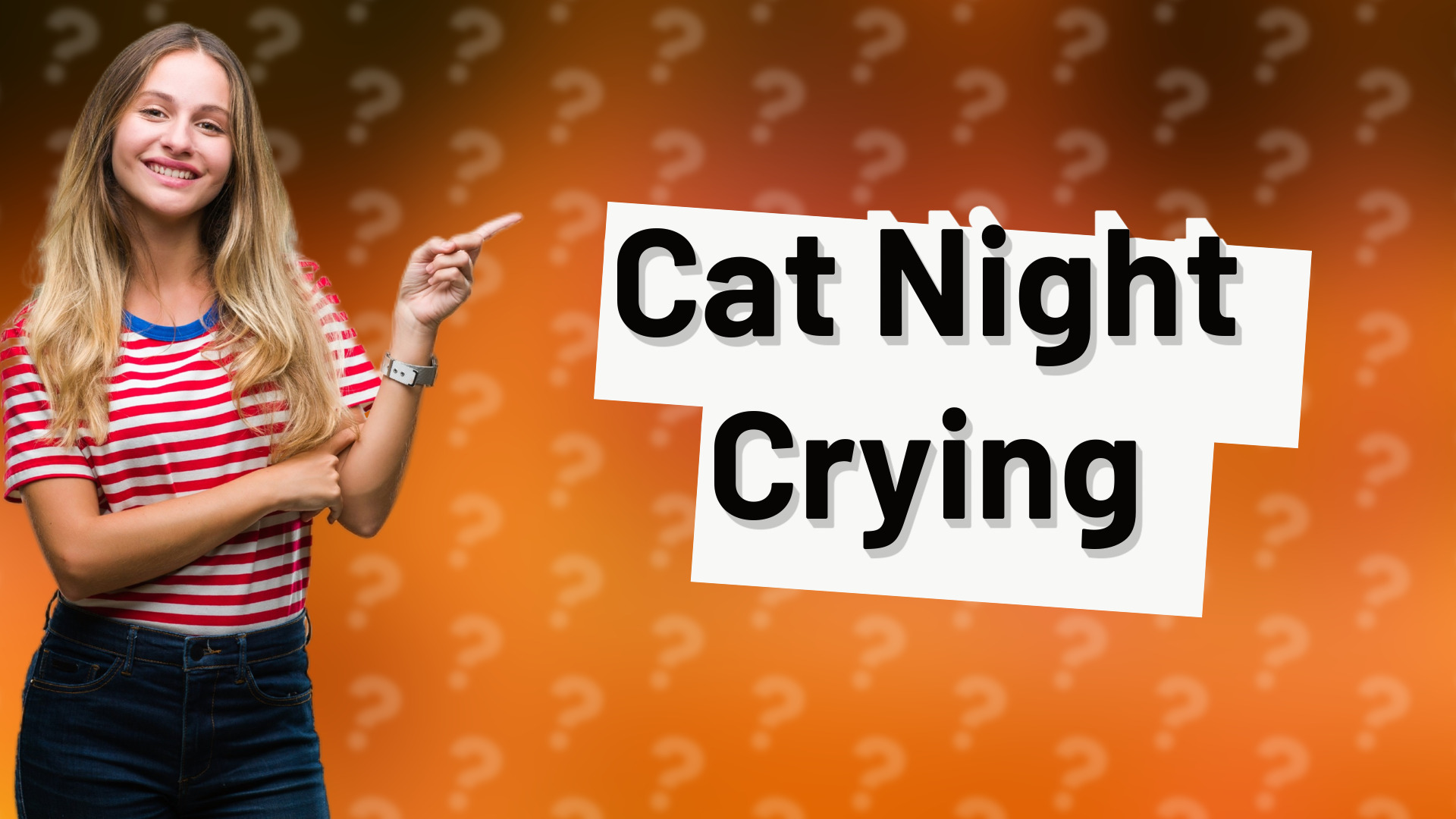 Cat Night Crying