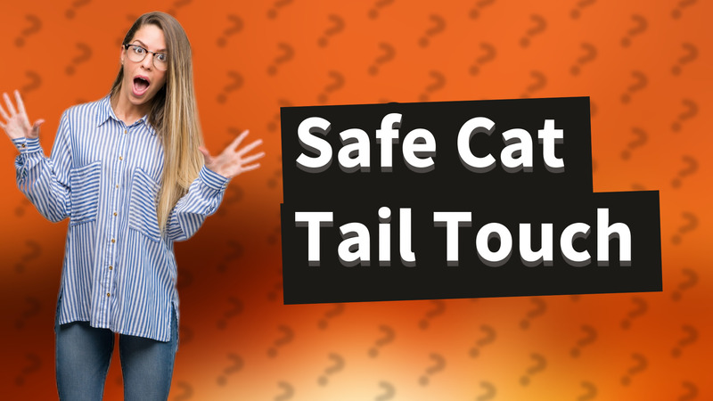 Safe Cat Tail Touch